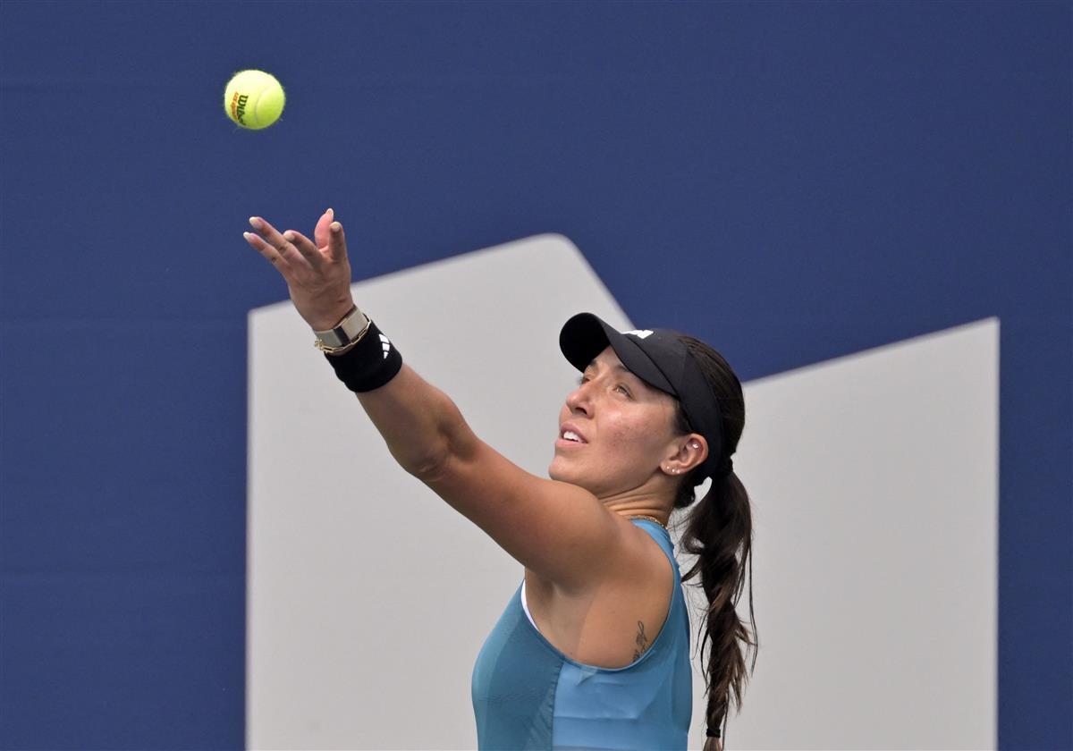 的训练积累 的训练积累